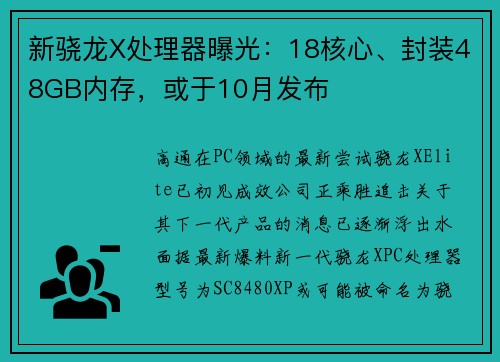 新骁龙X处理器曝光：18核心、封装48GB内存，或于10月发布