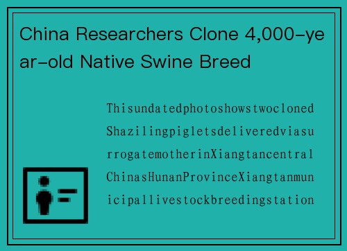 China Researchers Clone 4,000-year-old Native Swine Breed