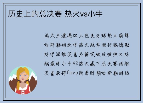历史上的总决赛 热火vs小牛