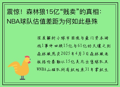 震惊！森林狼15亿“贱卖”的真相：NBA球队估值差距为何如此悬殊